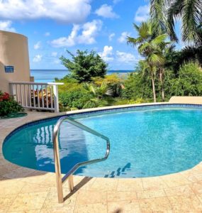 Swimming pool with a clear view of the ocean and palm trees, surrounded by lush greenery at Adagio Villa Resort.
