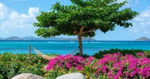 Lush garden with vibrant flowers, a hammock, and a tree providing shade near the ocean at Adagio Villa Resort.