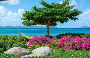Lush garden with vibrant flowers, a hammock, and a tree providing shade near the ocean at Adagio Villa Resort.