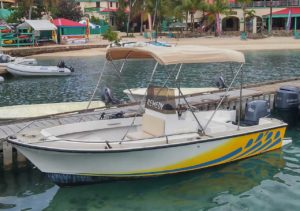 Motorboat named "Remedy" docked at a tropical marina, ready for water activities at Adagio Villa Resort.