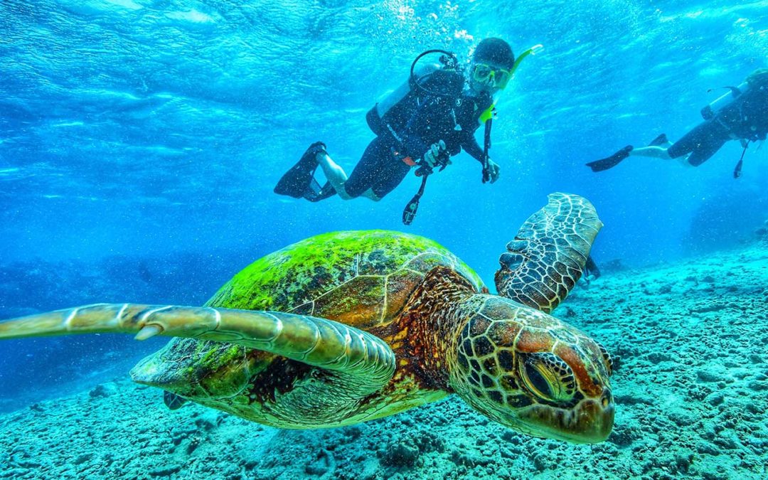 Your Guide to Spending 7 Days in BVI